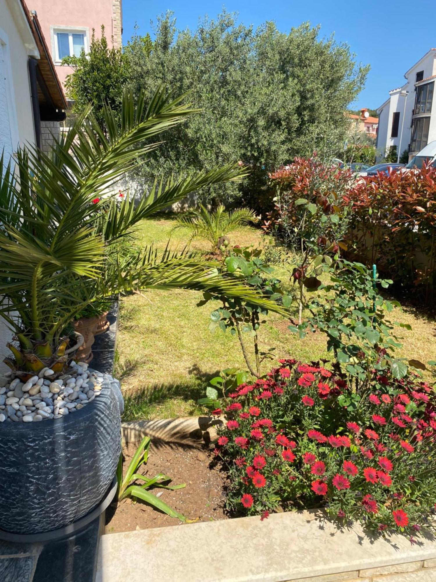 Summer House PUY Exterior foto